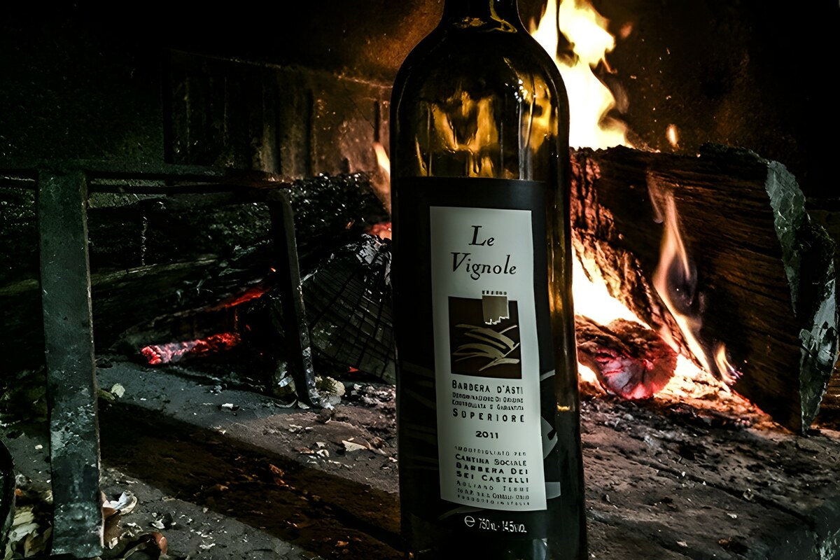 Le Vignole Barbera d’Asti DOCG Superiore 2011: qualità alla portata di tutti