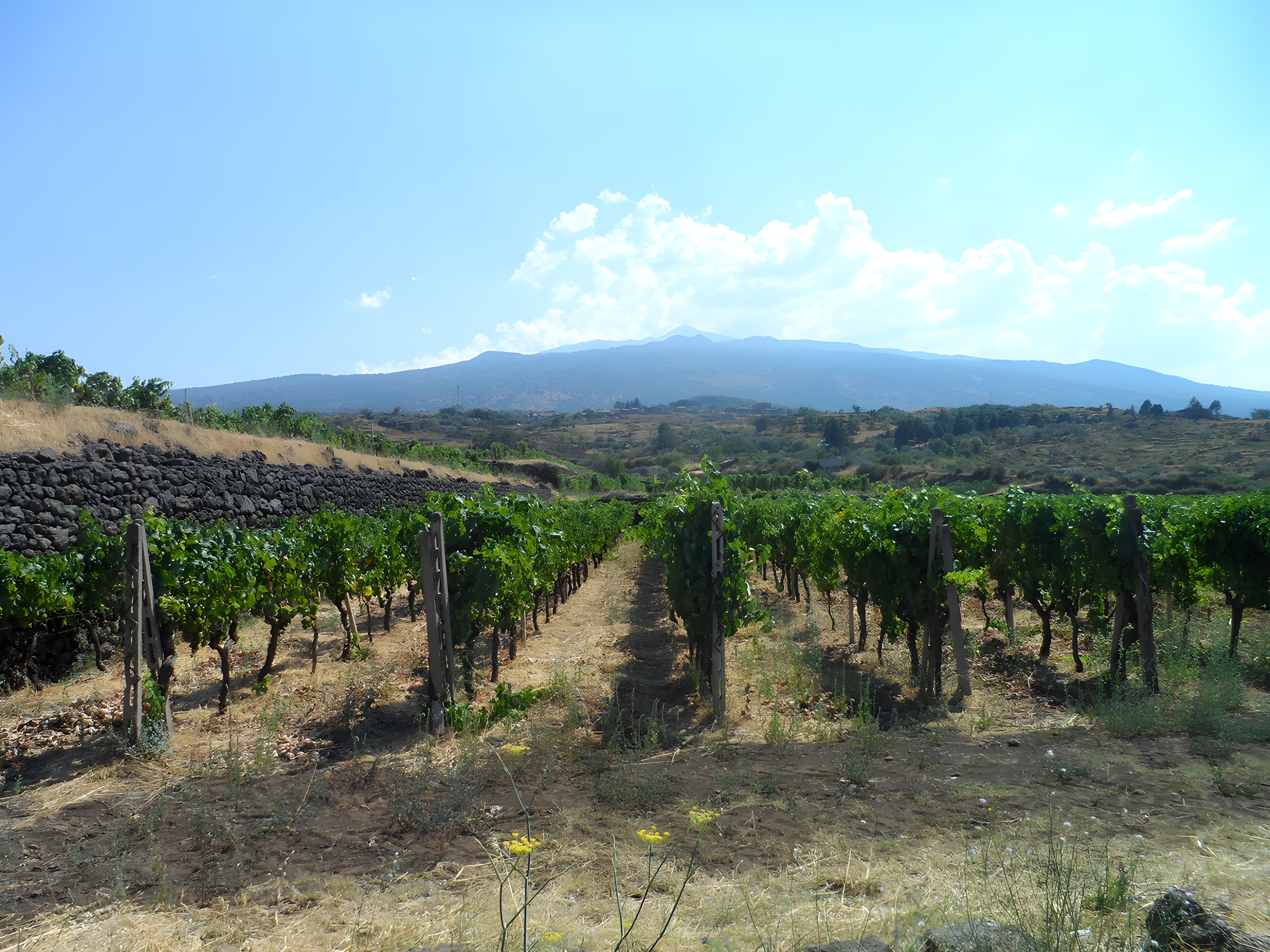VIAJE ENTRE LAS CONTRADE DEL ETNA
