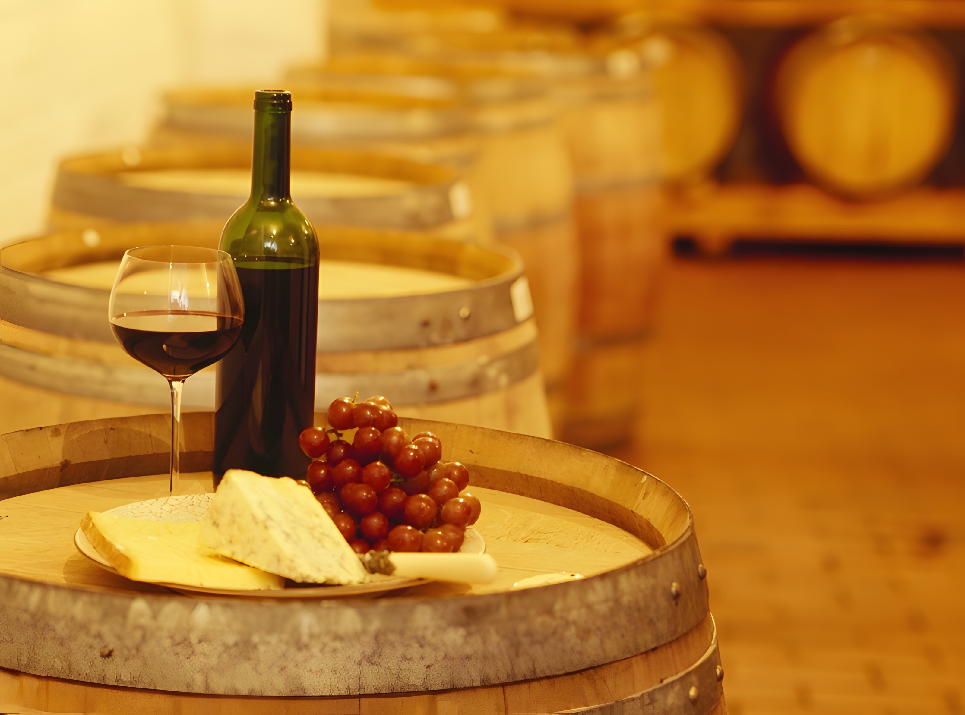 Monferrato：专访 Cantina Bellicoso