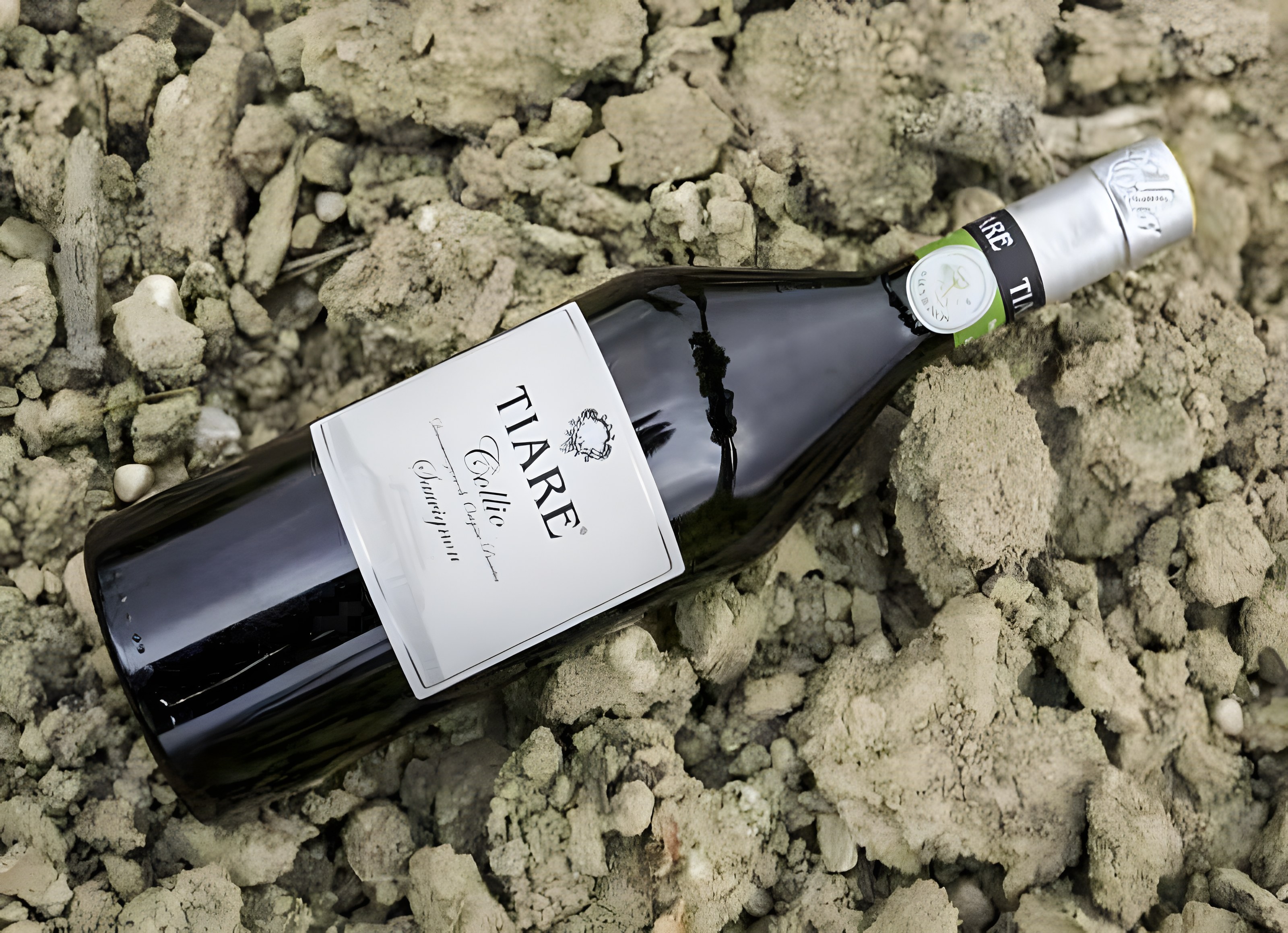 Tiare, un grande Sauvignon friulano