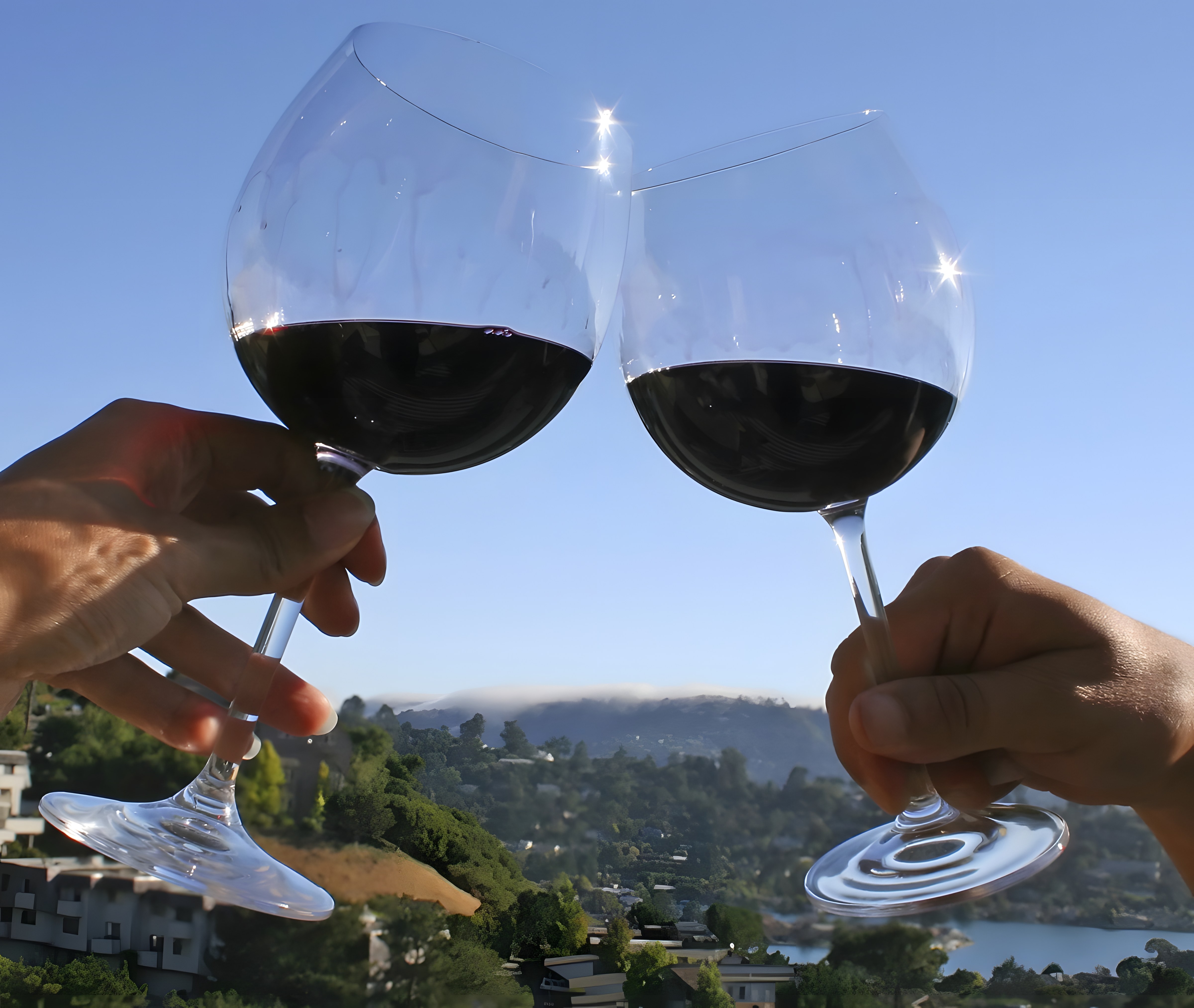 Degustazione Amarone in Villa