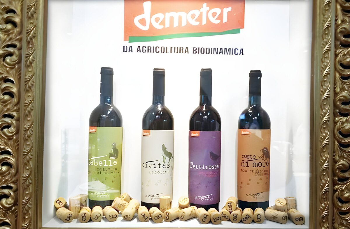 Biodynamische Weine mit Charakter: Orsogna Winery