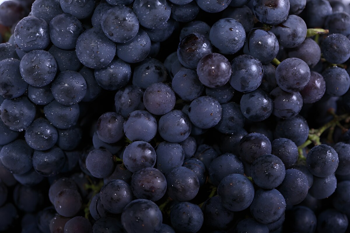 The Children of Nebbiolo, the King of Wines
