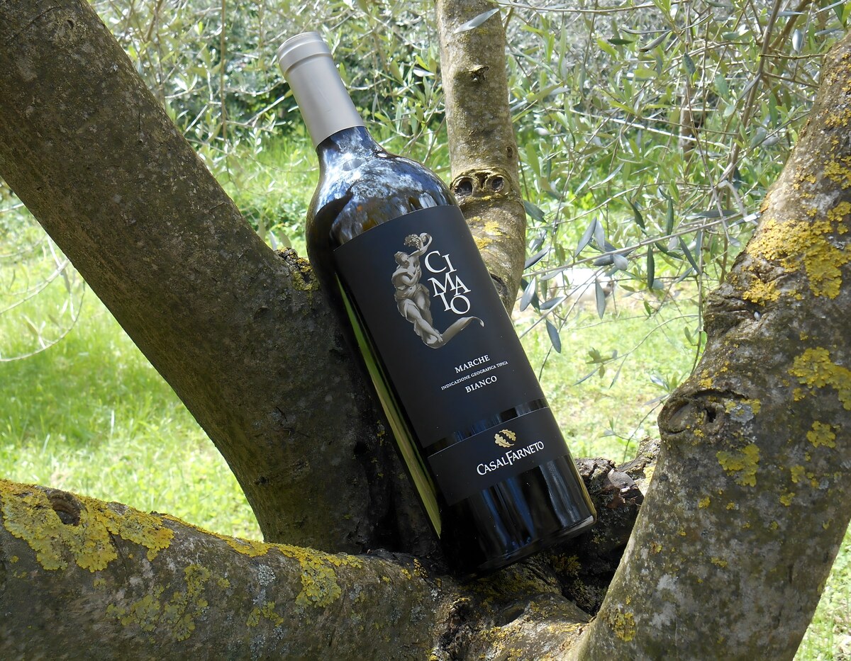 Wein und Liebe - Contest #StorieDiVino