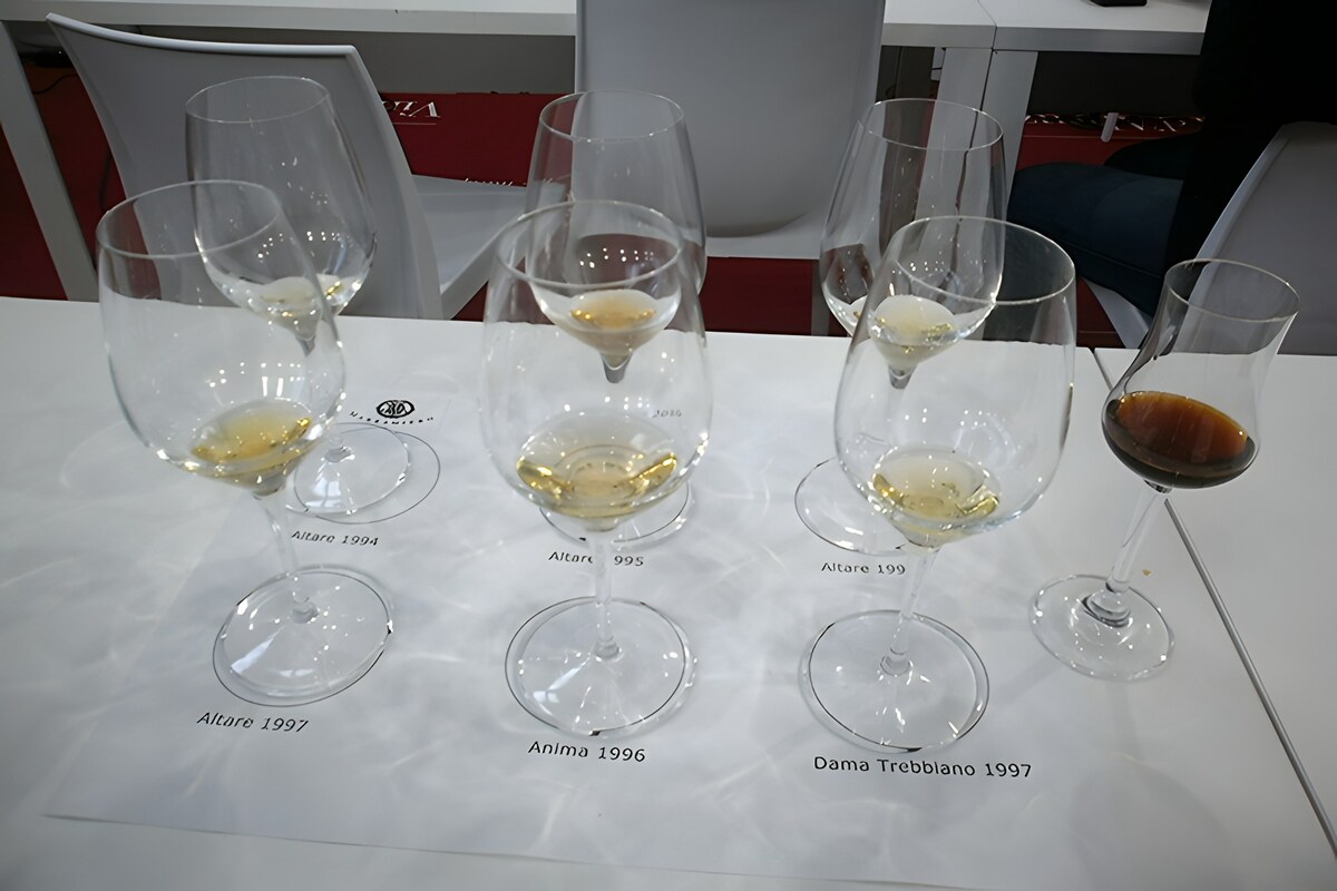 Trebbiano Altare Marramiero, la vertical