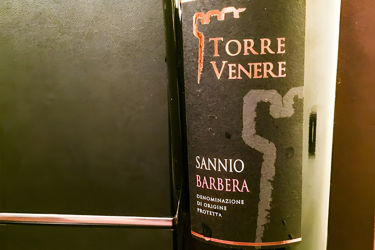 Barbera del Sannio Castelvenere: frutto della tradizione