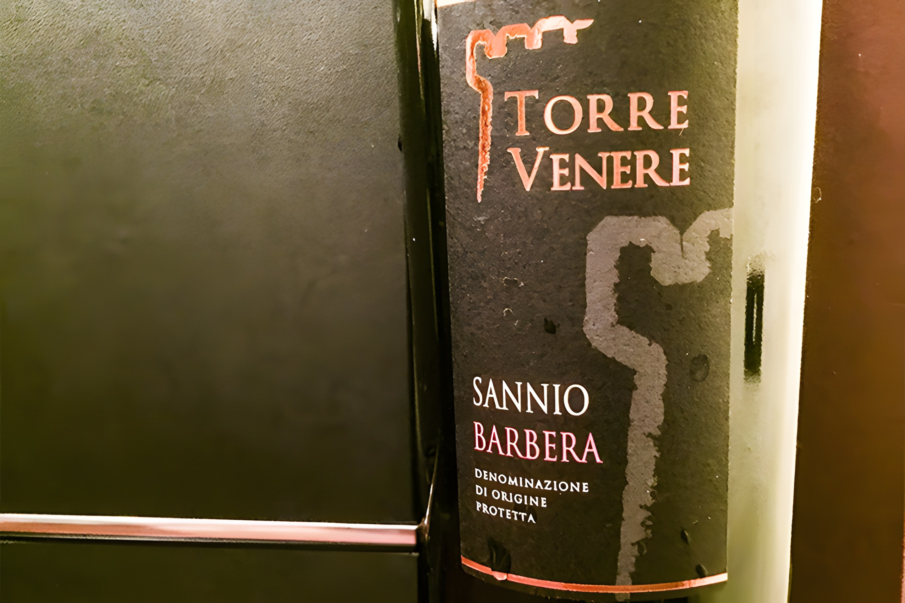 Barbera del Sannio Castelvenere: frutto della tradizione