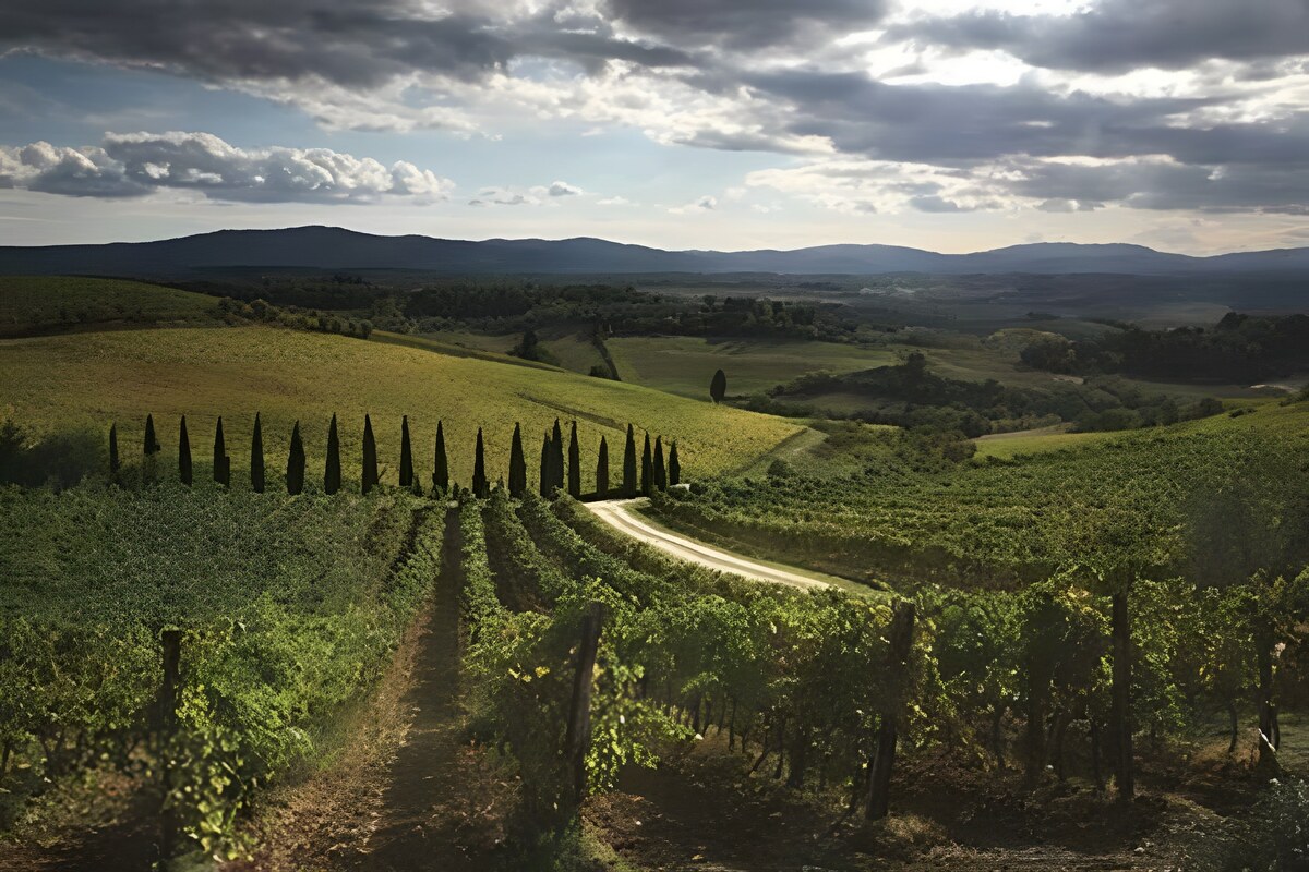 Chianti: percorriamo la strada di un mito
