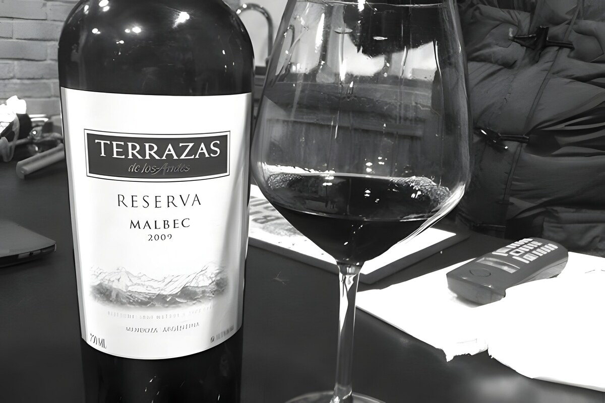 Terrazas Reserva Malbec 2009: ein Glas aus Argentinien