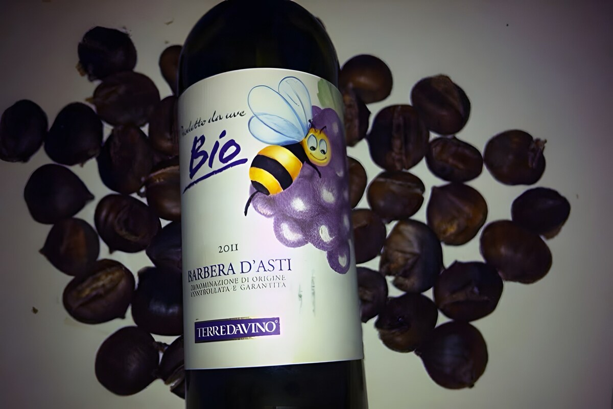 Barbera d'Asti Biologico Terre da Vino : simplicité et accessibilité
